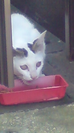 ���N����̓E�H�[�L���O���I