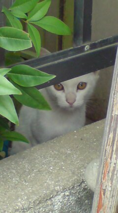 ���N����̓E�H�[�L���O���I