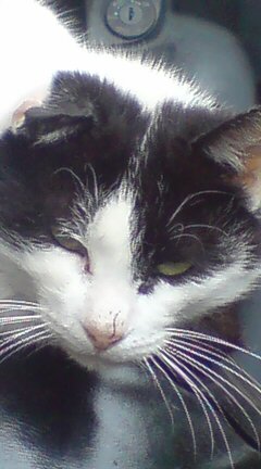 ���N����̓E�H�[�L���O���I