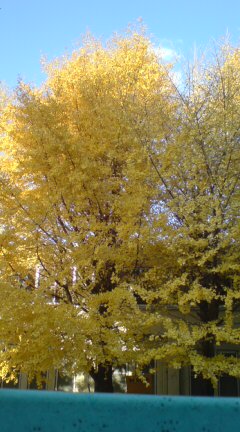 ���N����̓E�H�[�L���O���I