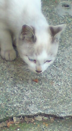 ���N����̓E�H�[�L���O���I