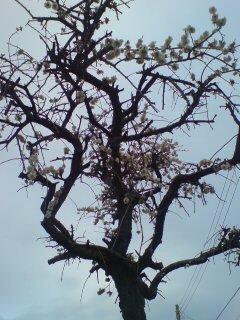 ���N����̓E�H�[�L���O���I