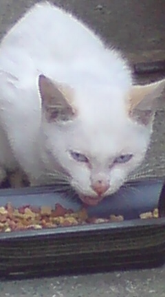 ���N����̓E�H�[�L���O���I