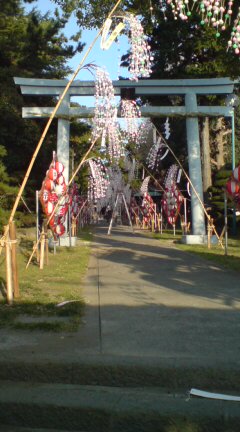 ���N����̓E�H�[�L���O���I