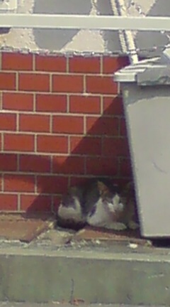 ���N����̓E�H�[�L���O���I