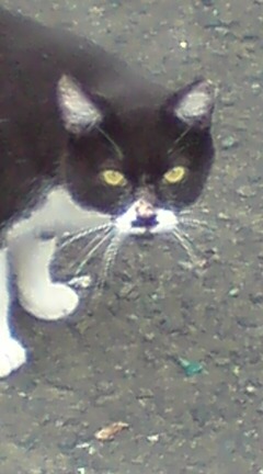 ���N����̓E�H�[�L���O���I