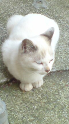 ���N����̓E�H�[�L���O���I