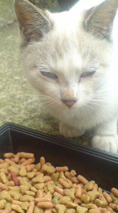 ���N����̓E�H�[�L���O���I