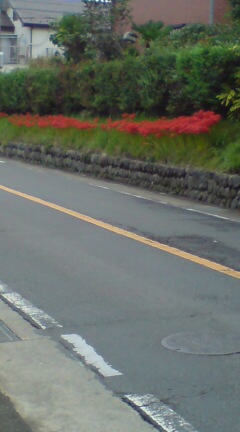 ���N����̓E�H�[�L���O���I