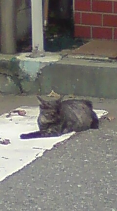 ���N����̓E�H�[�L���O���I