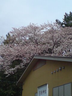 ���N����̓E�H�[�L���O���I