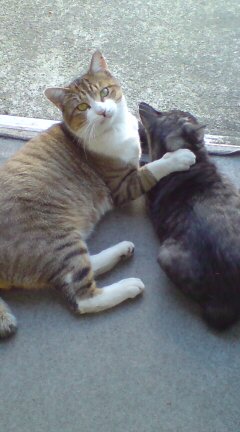 ���N����̓E�H�[�L���O���I