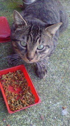 ���N����̓E�H�[�L���O���I