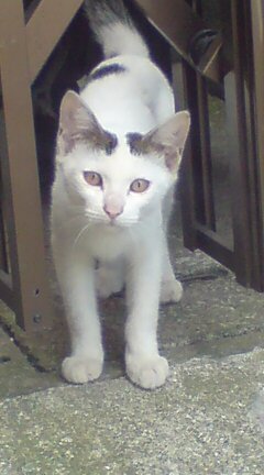 ���N����̓E�H�[�L���O���I