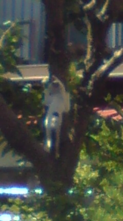 ���N����̓E�H�[�L���O���I