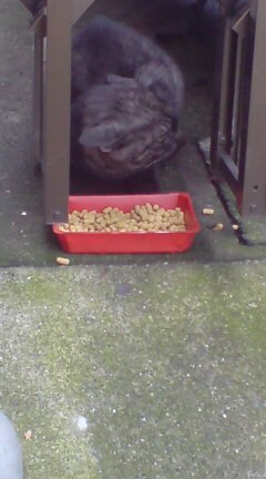 ���N����̓E�H�[�L���O���I