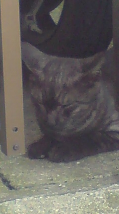 ���N����̓E�H�[�L���O���I