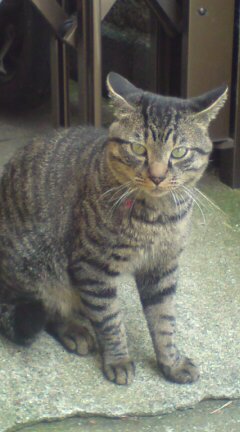 ���N����̓E�H�[�L���O���I