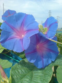 ���N����̓E�H�[�L���O���I