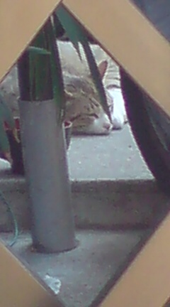 ���N����̓E�H�[�L���O���I