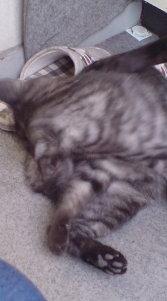 ���N����̓E�H�[�L���O���I