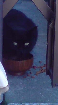 ���N����̓E�H�[�L���O���I