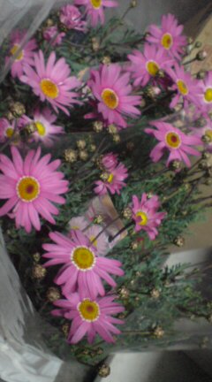 ���N����̓E�H�[�L���O���I