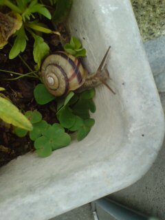 ���N����̓E�H�[�L���O���I