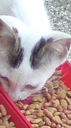 ���N����̓E�H�[�L���O���I