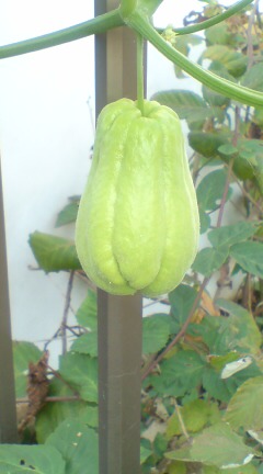 ���N����̓E�H�[�L���O���I