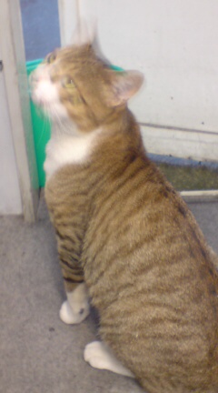 ���N����̓E�H�[�L���O���I