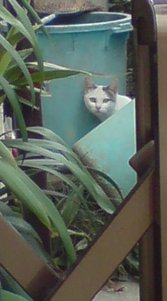 ���N����̓E�H�[�L���O���I