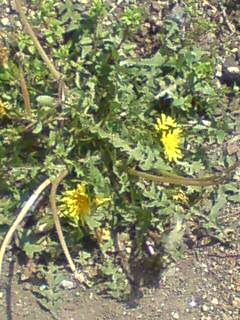 ���N����̓E�H�[�L���O���I