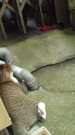 ���N����̓E�H�[�L���O���I