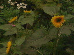 ���N����̓E�H�[�L���O���I