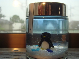 ���N����̓E�H�[�L���O���I