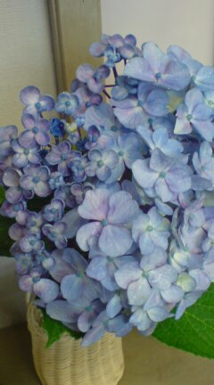 ���N����̓E�H�[�L���O���I