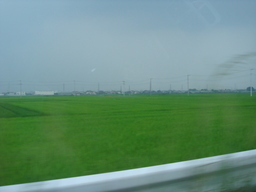 ���N����̓E�H�[�L���O���I