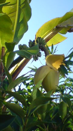 ���N����̓E�H�[�L���O���I