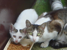 ���N����̓E�H�[�L���O���I