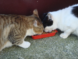 ���N����̓E�H�[�L���O���I