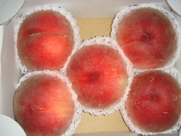 ���N����̓E�H�[�L���O���I