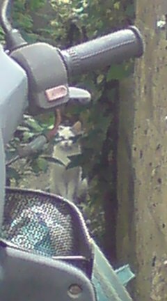 ���N����̓E�H�[�L���O���I