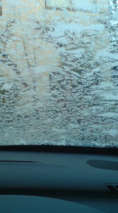 ���N����̓E�H�[�L���O���I