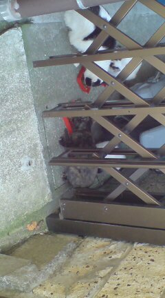 ���N����̓E�H�[�L���O���I