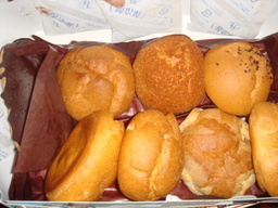 ���N����̓E�H�[�L���O���I