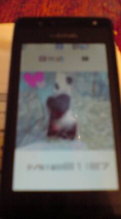 ���N����̓E�H�[�L���O���I