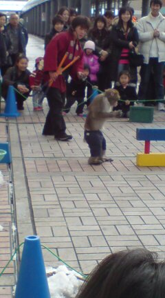 ���N����̓E�H�[�L���O���I