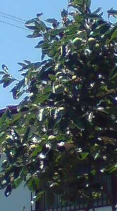 ���N����̓E�H�[�L���O���I