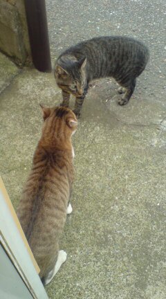 ���N����̓E�H�[�L���O���I